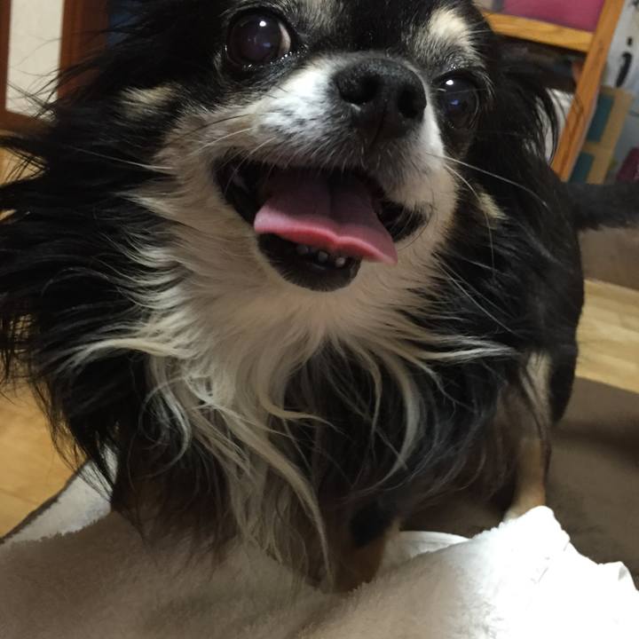 2dfe1be5 0a78 41a2 887a 88bd66788f81