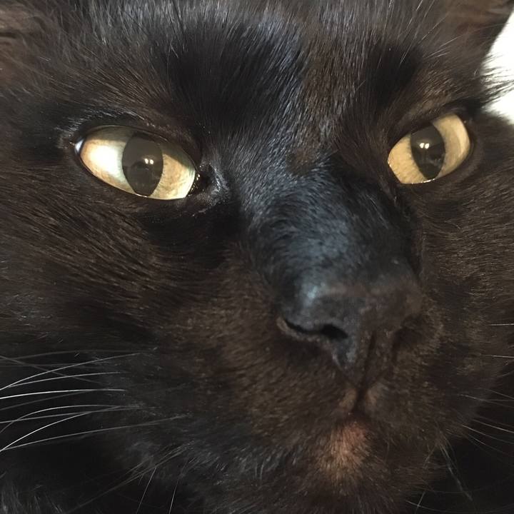 2dfe203d f147 4384 989d 7fb87e6f1d66