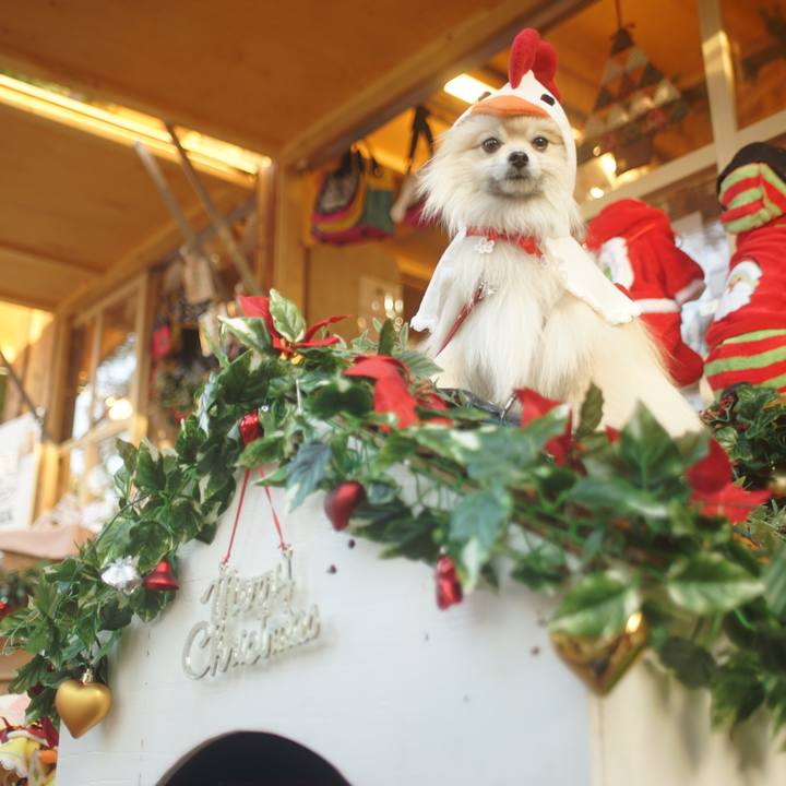 2dfea5c3 2fdf 47c1 8063 1b7cb4ecdceb