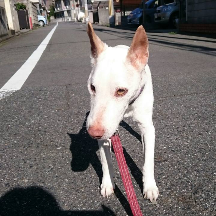 2dfeb65b c698 4693 aba6 8fdc421cf391