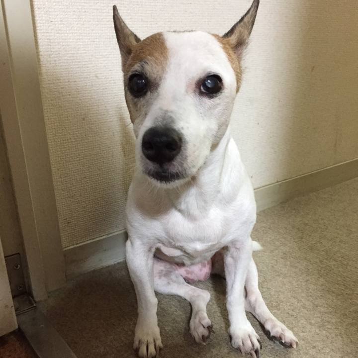 2dfec747 5a4e 4be7 96d5 308cb6d818d7