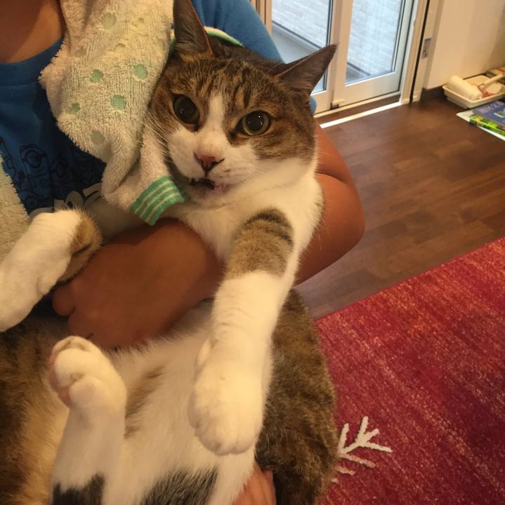 2dff7d0e a968 4236 8803 6af48f914e13