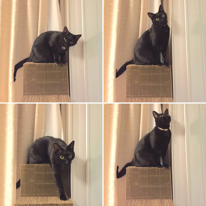 2dffc855 3958 4e31 90f4 a263398bbb46