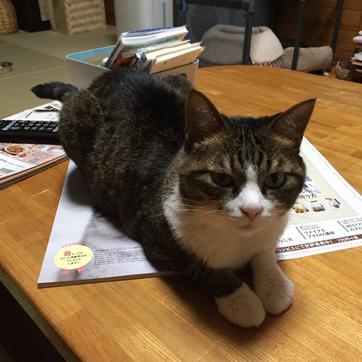 2e0001b5 ca3d 4ef2 9103 99bc6a89d8a2