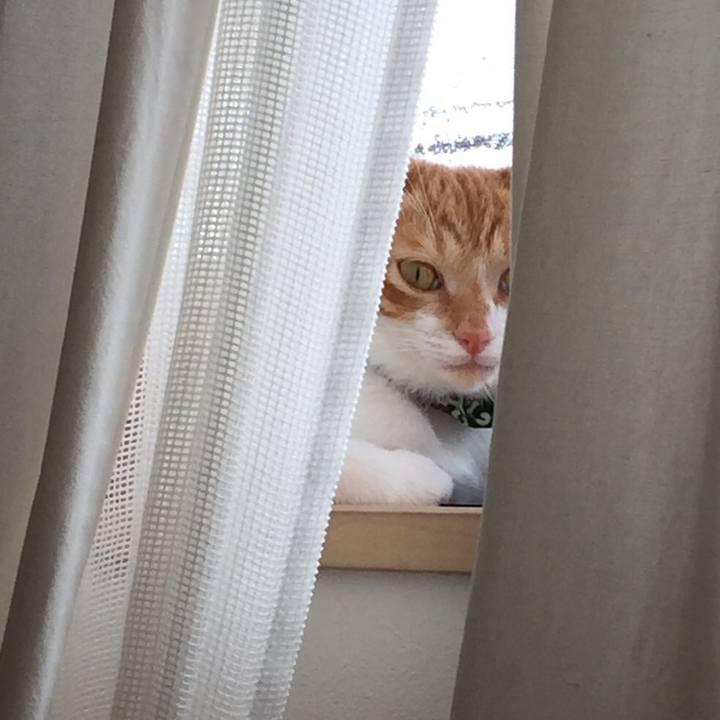 2e008f93 e6c4 4606 89b4 968b57af65e4