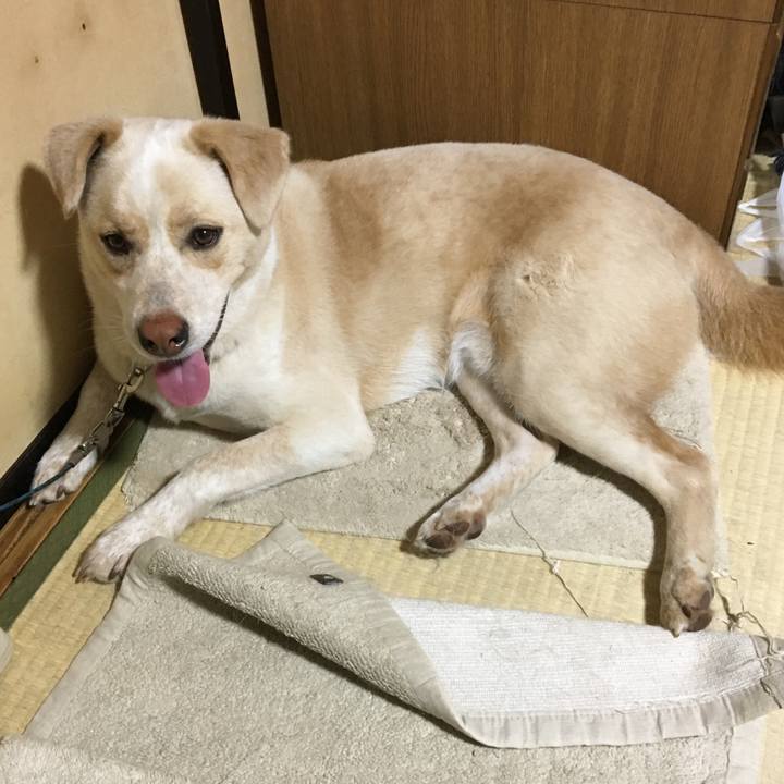 2e017d0d 0796 4973 84ab 37b7bd7a0d2b