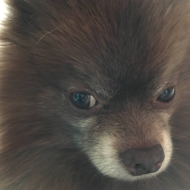 2e01db38 8623 4d74 b77d f4246f2b612d