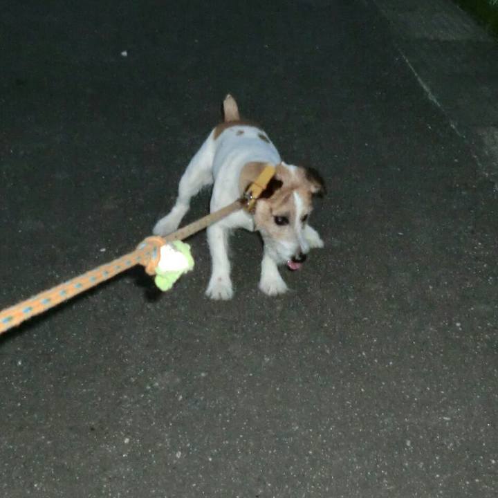 2e039c0f 05d3 4ddb 9048 d9da563caf36