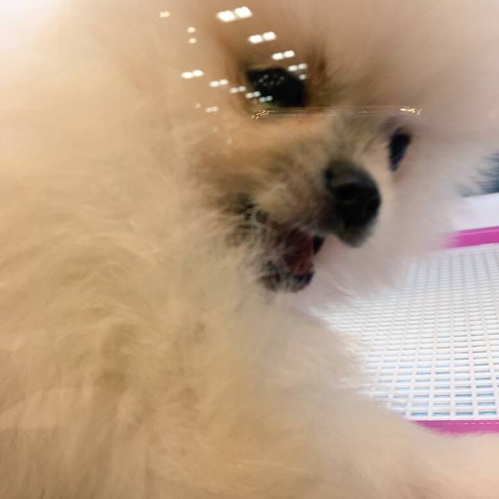 2e05413a 3a94 402e 9c43 f06c73e77290