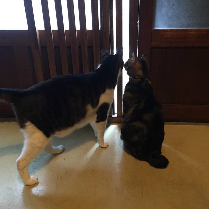 2e05a9a2 08f5 477e a0ae ac7c9e02650a