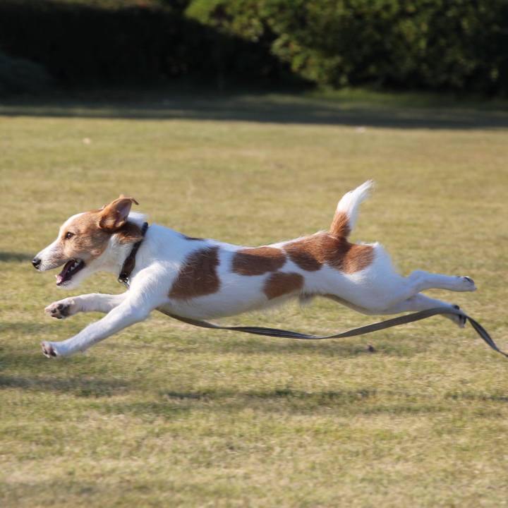 2e05b66e 67dc 4a86 911e 4445126c68ea