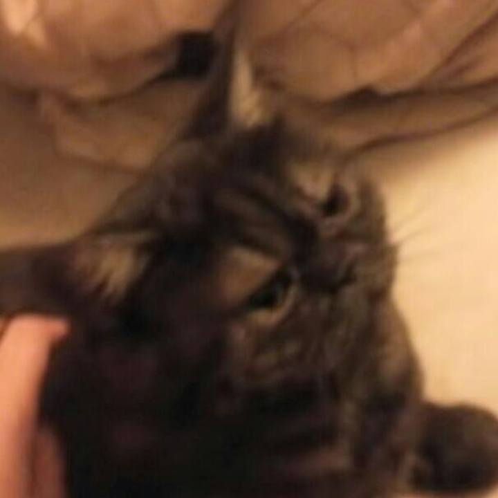 2e05d2c2 fed8 48bb a5f9 df06dcd0832c