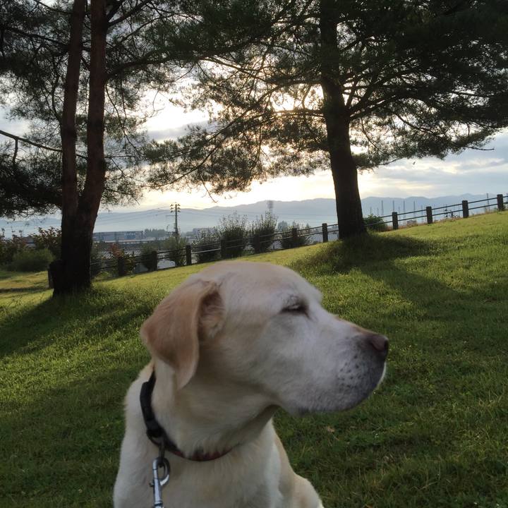 2e06320d b4a3 46ae 928c 8941b841cd48