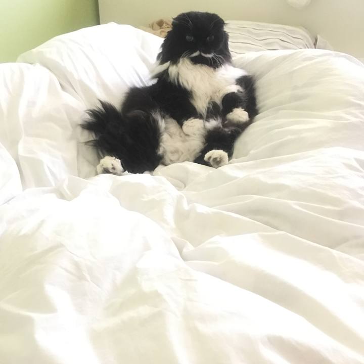 2e0665ae 6389 44da 8f86 c50929dc056f