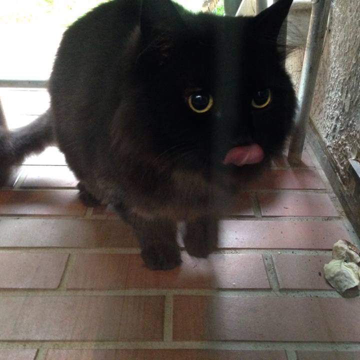 2e066659 af5a 46d5 8ca8 2eb69ffb645f