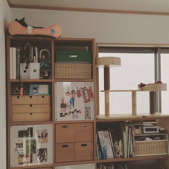 2e067a2c 8750 495a a9b1 b71555e5c759