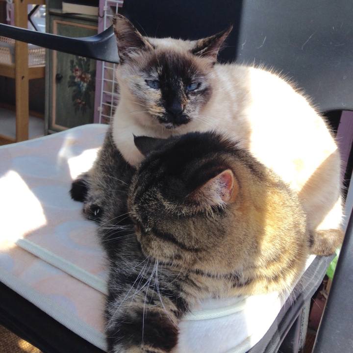 2e069fa6 28ca 403d 8cb8 190a765050e3