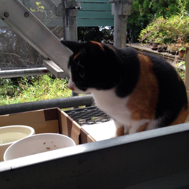 2e084f3c c2fe 48b0 a1d2 d35f55d943bb