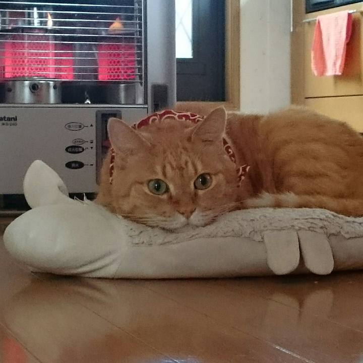 2e08888e 8428 43c0 9f6c 9f61378da4bd