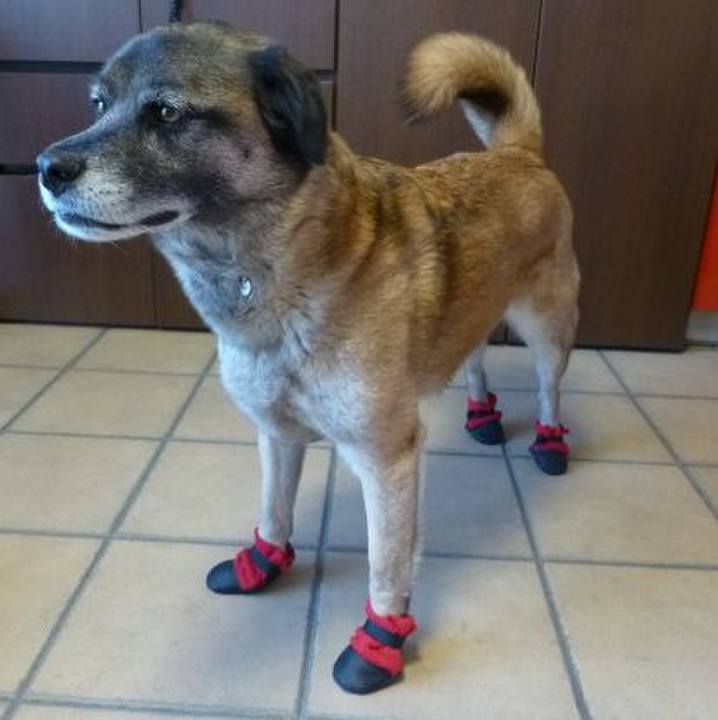 2e08b77c 3297 482d bd91 b7f7f963621e