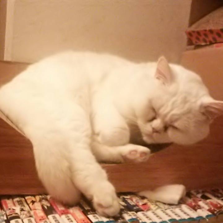 2e09b3e6 5328 4c39 913c 99af024c1dc9