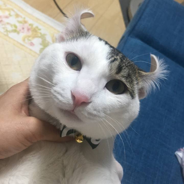 2e09c520 032a 4989 bf40 90985f440cf3