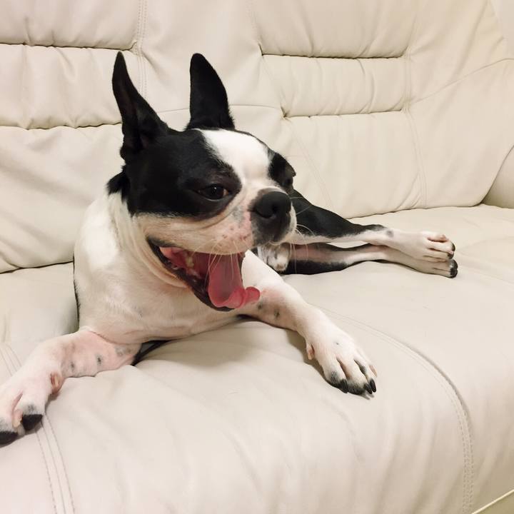 2e0a17ca 8d90 4edd a4d4 d30cfdf75a80