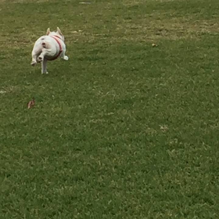 2e0a3026 a462 463d 9f99 6c70634af294