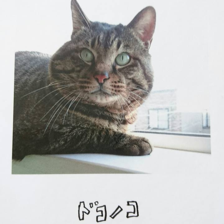 2e0b116d eeab 4f10 be56 9e74618f82a5