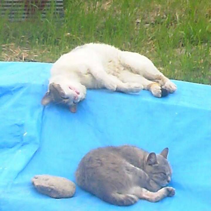 2e0b557b 09b7 4916 920a 9a389f6e3288