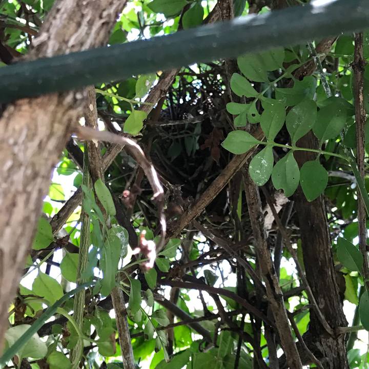 2e0b71a0 71b2 4617 adae 4103eaf88301