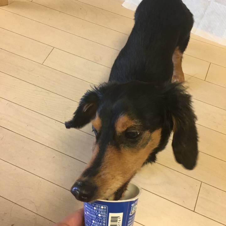 2e0b7399 7262 4758 9f4b aad77a09b9a2