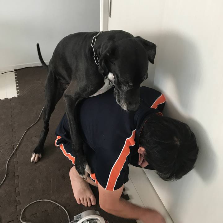 2e0cff63 5356 4467 8de8 db25d9e3c3a9