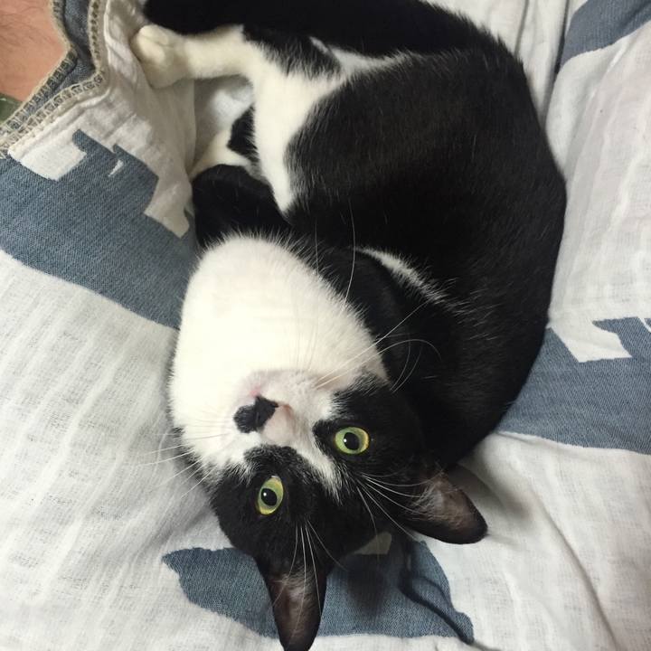 2e0d94b5 62bd 4dc0 b33b 04359c94059d