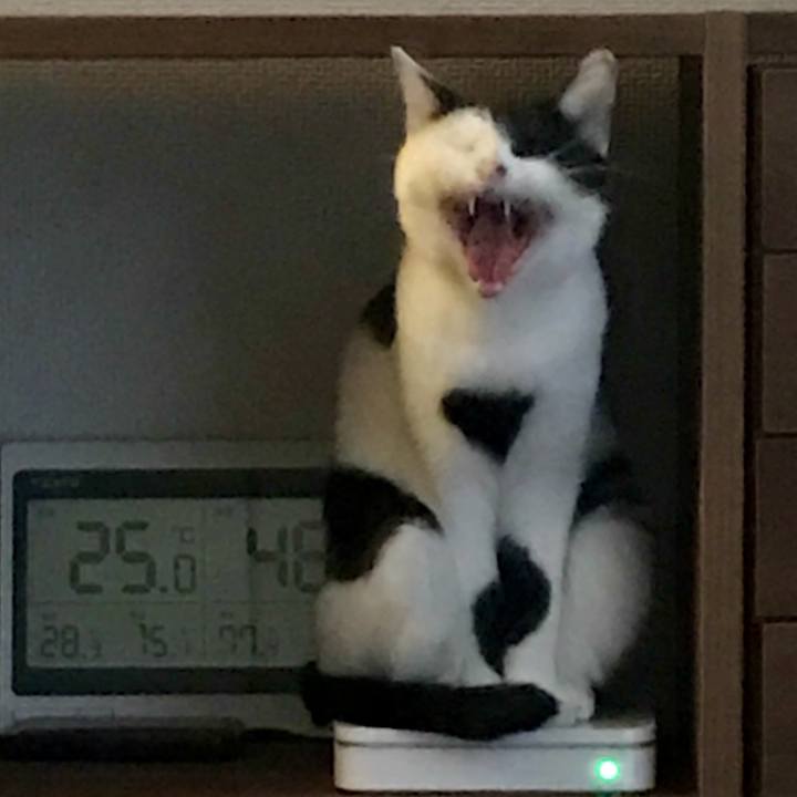 2e0e23b9 cfb2 40fb a87f 8272c01e7e6d