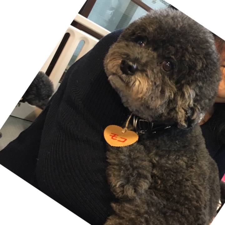 2e0e92a4 81f6 41d9 8661 c2c7265888c2