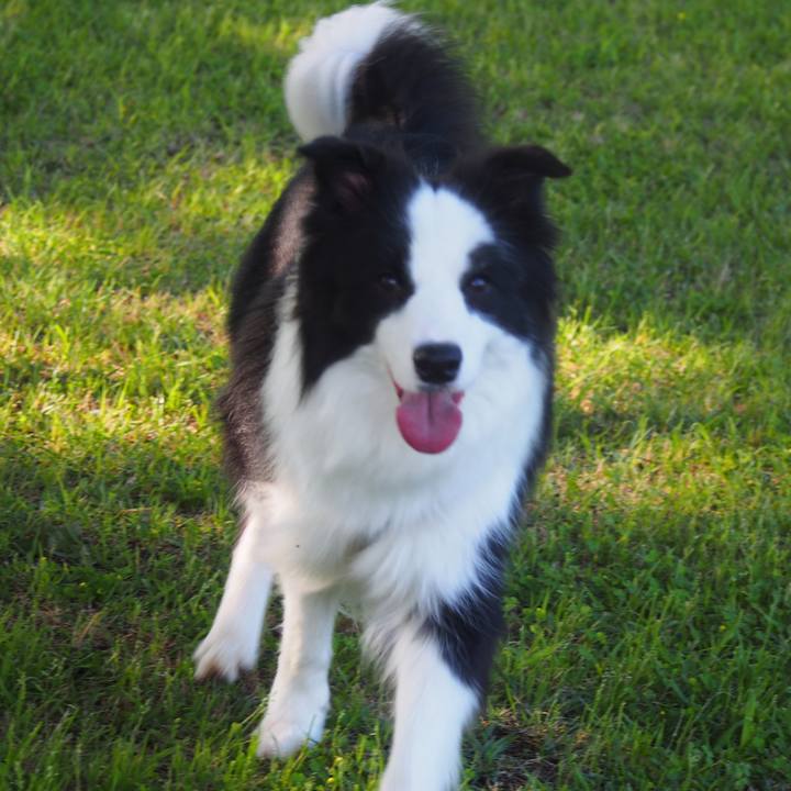 2e0fc03c 6952 4541 8b47 83a7e8287082