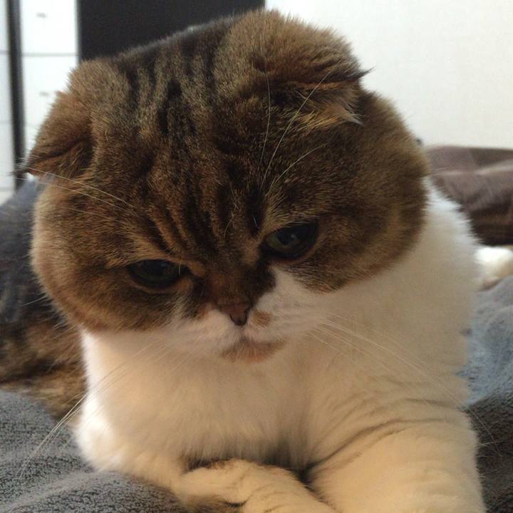 2e0fd729 82df 4a3b 97f8 424ef187bf62