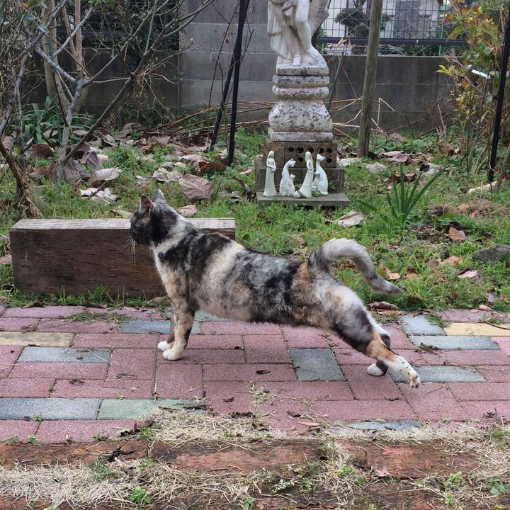 2e100728 7551 4c2d 99e1 1bbde61daee3