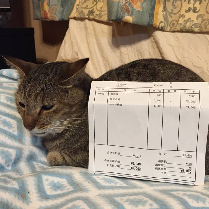 2e10cd02 d6e1 479a be53 edb23e683693