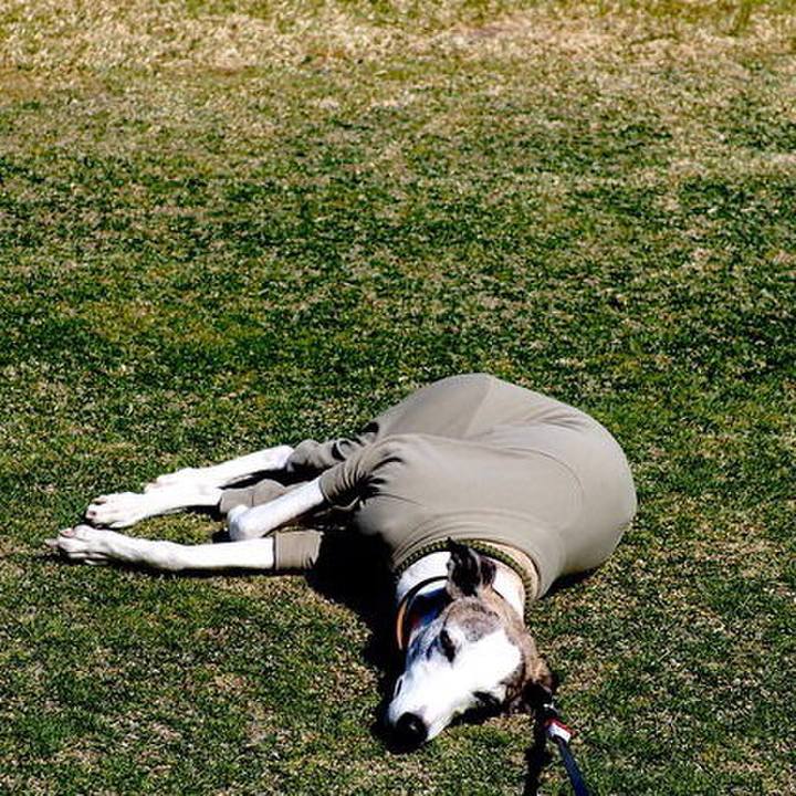 2e121174 92af 4752 a7a4 d46820781999