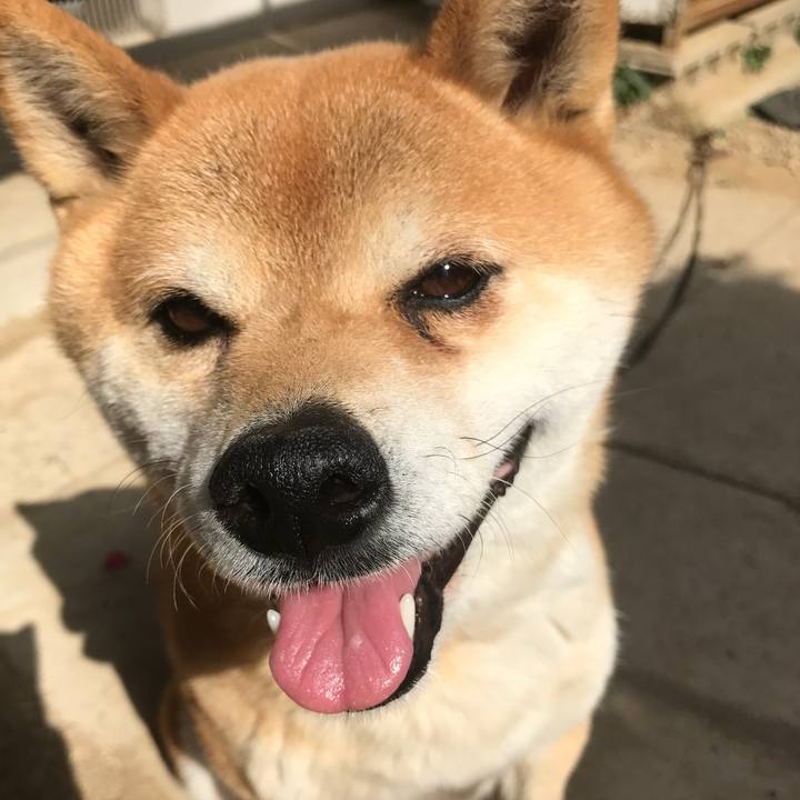 2e126a64 9b34 4842 837e 8a27bde81924