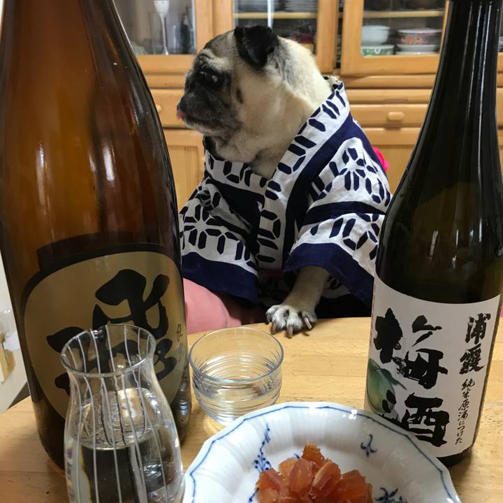 2e127df7 9727 4b11 a02c 8e8190cb2086