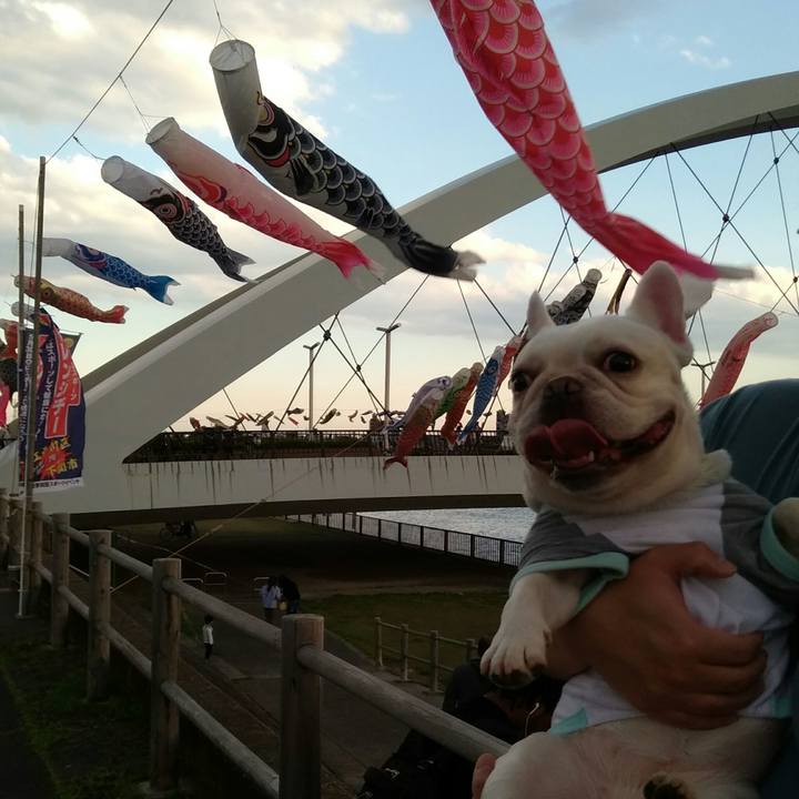 2e1294db a530 49c9 ac0d 08d38b82806c