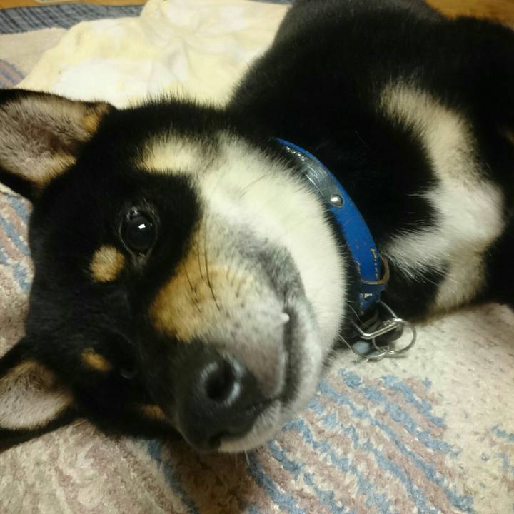 2e132365 c57c 4af0 a354 ff3f42036e79