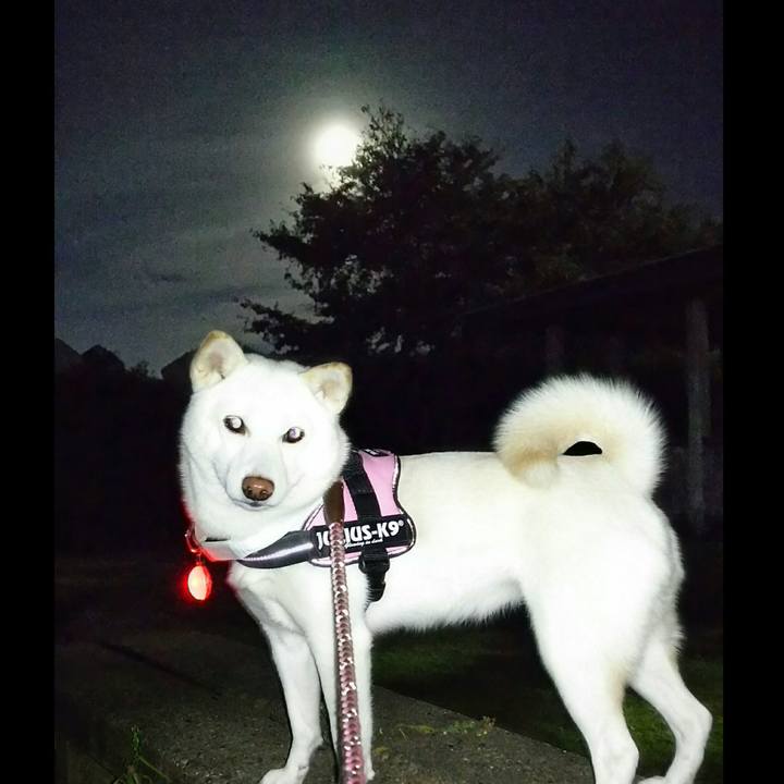 2e13dd22 750a 42eb 8a6f 5d787f614723