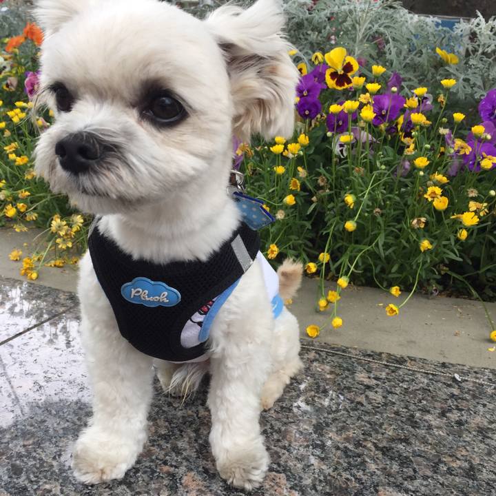 2e14a203 5c80 44de 89ed c1911d3df0b3