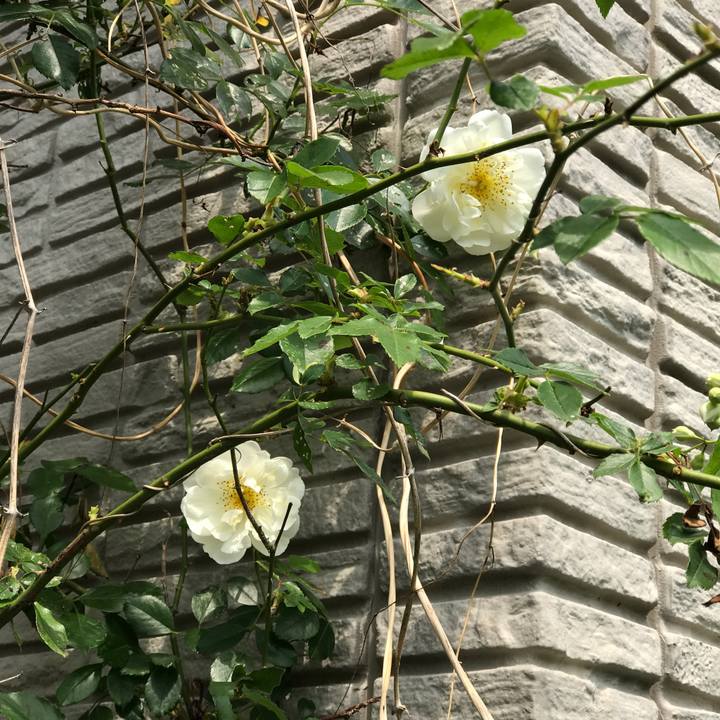 2e14ffe3 bb9f 41e2 aebb bfb52b9d878f