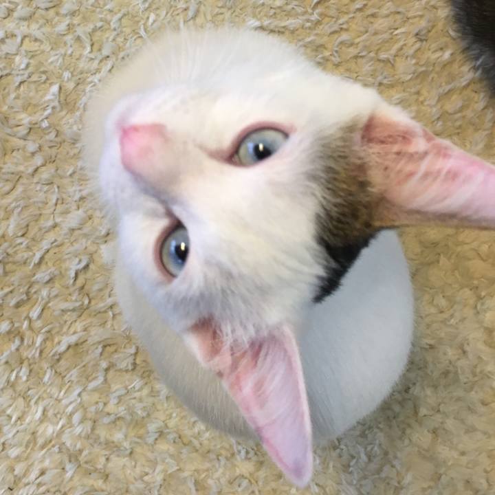 2e15b991 0eff 4ba7 87ff 0e4980457f16