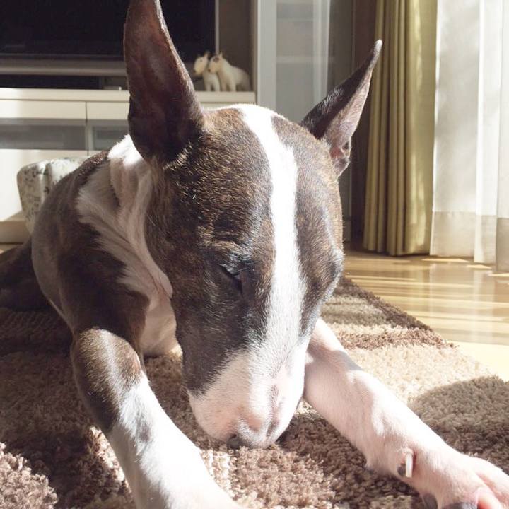 2e15fa10 4b06 4187 b320 0464c3ced36d